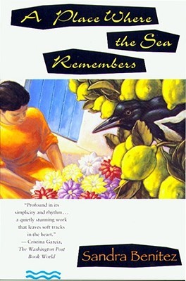 【预售】Place Where the Sea Remembers