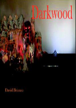 【预售】Darkwood