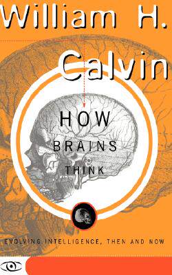 【预售】How Brains Think: Evolving Intelligence, Then and