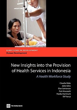 【预售】New Insights Into the Provision of Health Services