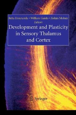 【预售】Development and Plasticity in Sensory Thalamus and