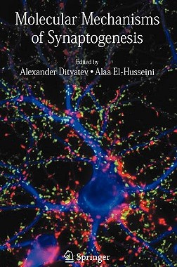 【预售】Molecular Mechanisms of Synaptogenesis