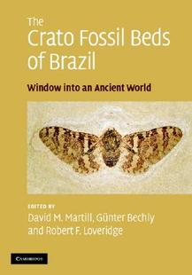 The Into Window Brazil Beds Fossil Crato 预售