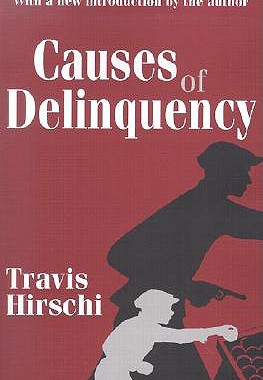 【预售】Causes of Delinquency