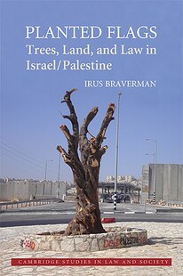 Flags Planted and Law Land 预售 Trees