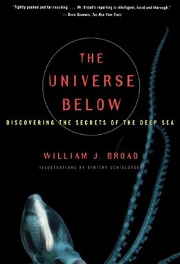 【预售】The Universe Below: Discovering the Secrets of the