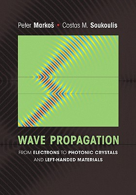 【预售】Wave Propagation: From Electrons to Photonic
