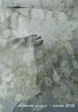 【预售】Between Greys