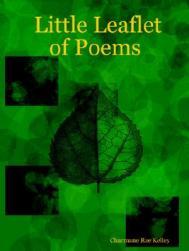 【预售】Little Leaflet of Poems
