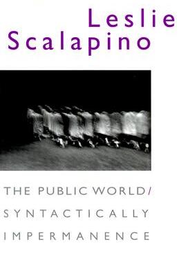【预售】The Public World/Syntactically Impermanence