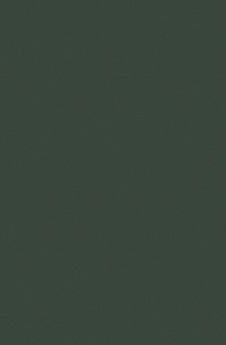 【预售】A Critical Introduction to Phonetics