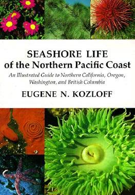 【预售】Seashore Life of the Northern Pacific Coast: An