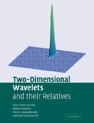 【预售】Two-Dimensional Wavelets and Their Relatives