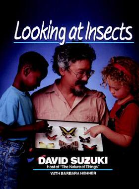 【预售】Looking at Insects