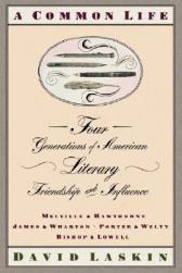 美国库房发货，通常付款后5-8周到货！