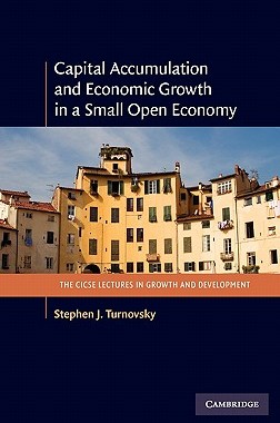 【预售】Capital Accumulation and Economic Growth in a Small