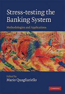 Testing and Stress System Methodologies Banking 预售 the