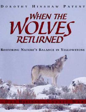 【预订】When the Wolves Returned: Restoring Nature's Balance