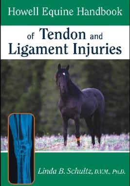 【预订】Howell Equine Handbook Of Tendon And Ligament
