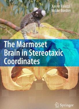 【预订】The Marmoset Brain in Stereotaxic Coordinates [With
