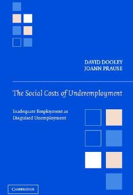 【预售】The Social Costs of Underemployment: Inadequate