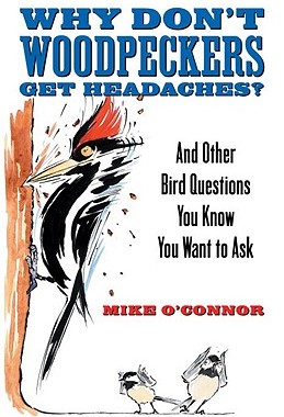 【预订】Why Don't Woodpeckers Get Headaches?: And Other