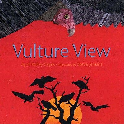 【预售】vulture view