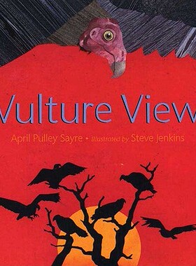 【预售】Vulture View