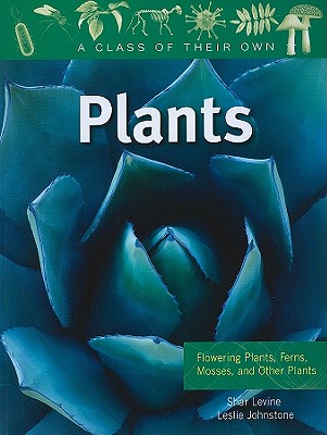 【预售】Plants: Flowering Plants, Ferns, Mosses, and Other