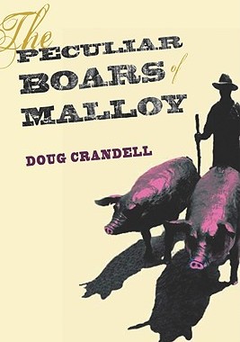 【预售】The Peculiar Boars of Malloy