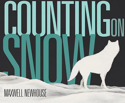 【预售】Counting on Snow
