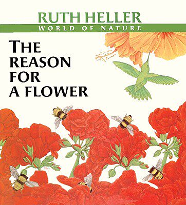 【预售】The Reason for a Flower