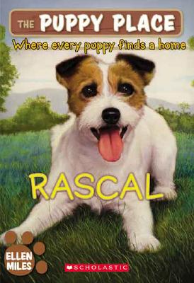 【预售】Rascal