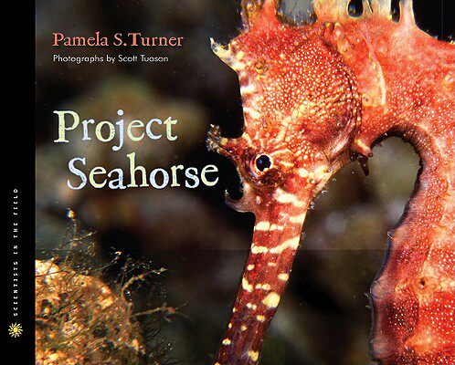 【预售】Project Seahorse