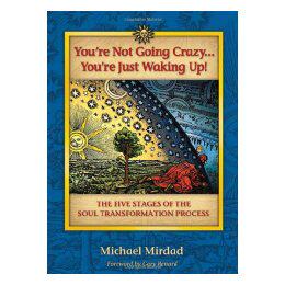 【预售】You're Not Going Crazy... You're Just Waking Up!: