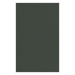 【预售】Health Risks and Developmental Transitions During