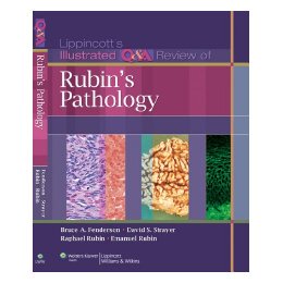 【预售】Lippincott's Illustrated Q&A Review of Rubin's