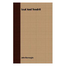 预订 【】Leaf and Tendril