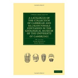 【预售】A Catalogue of the Collection of Cambrian and