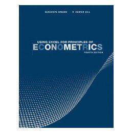 【预售】Using Excel For Principles Of Econometrics, Fourth