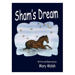 【预售】Sham's Dream