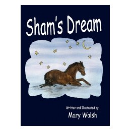 【预售】Sham's Dream