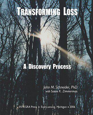 【预售】Transforming Loss: A Discovery Process
