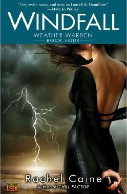 【预售】Windfall