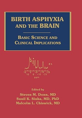 【预售】Birth Asphyxia And The Brain: Basic Science And