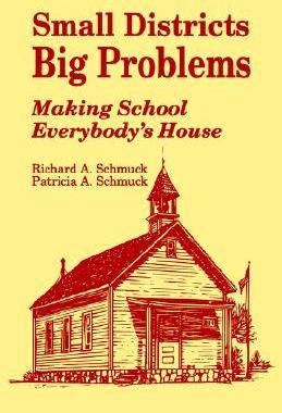 【预售】Small Districts, Big Problems: Making School