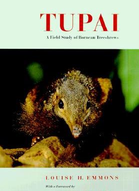 【预售】Tupai: A Field Study of Bornean Treeshrews
