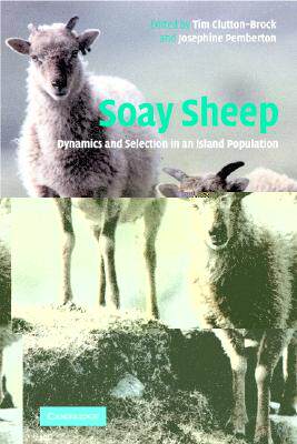 【预售】Soay Sheep: Dynamics and Selection in an Island