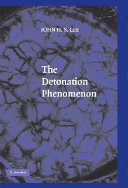 【预售】The Detonation Phenomenon