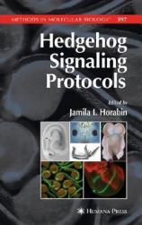 【预售】Hedgehog Signaling Protocols